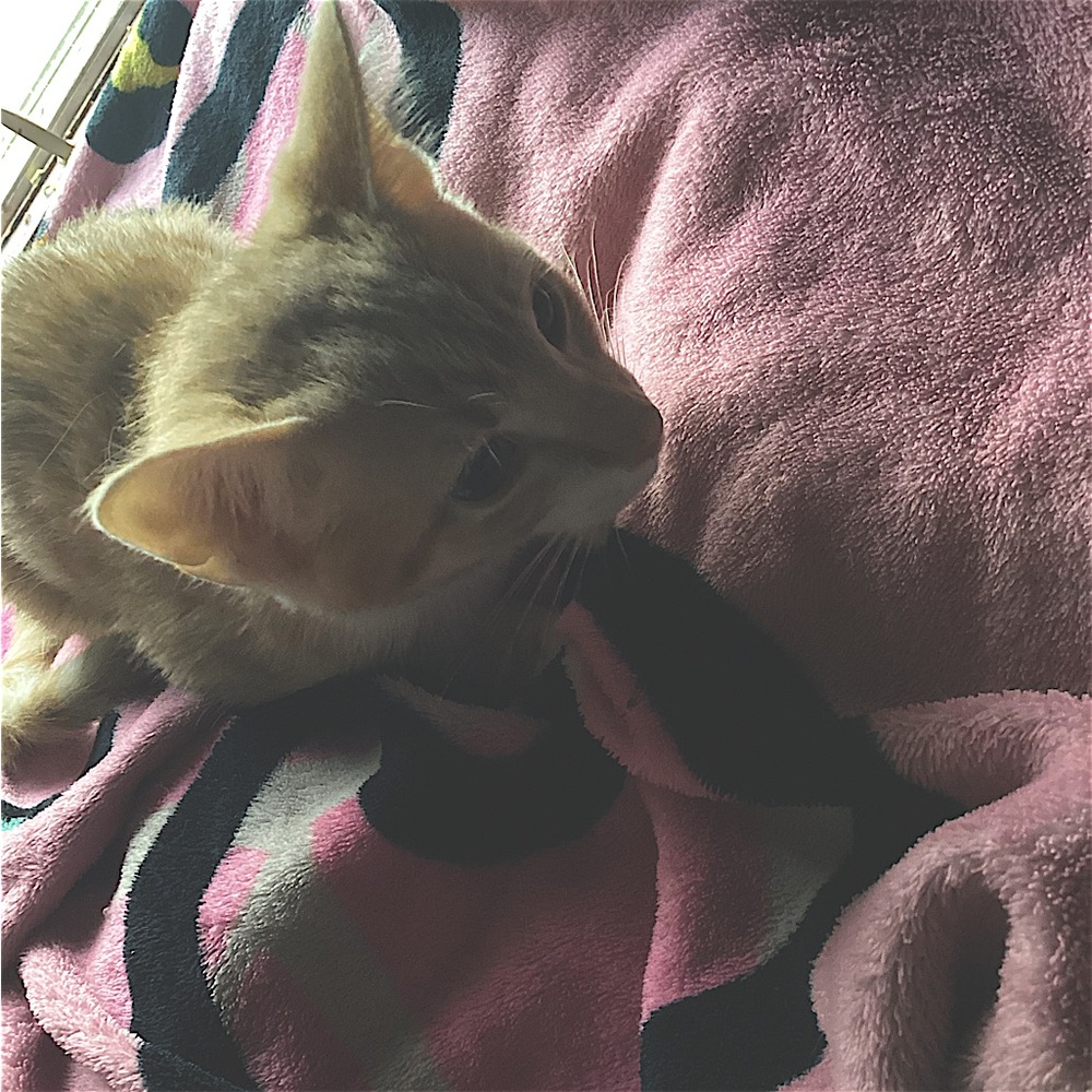 Meet your Posher, Alysia